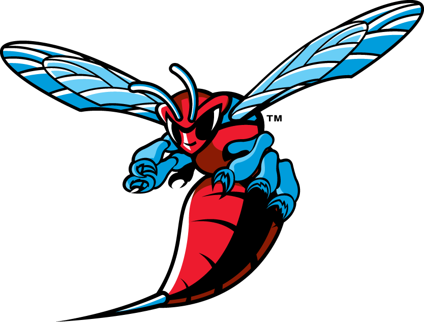 Delaware State Hornets 2004-Pres Primary Logo vinyl decal